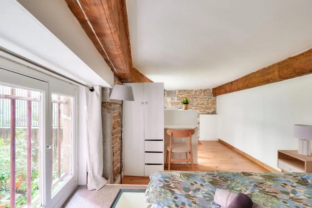Studio Duplex Near Croix Rousse Apartment Lyon France